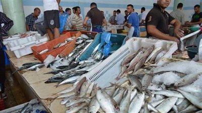 ضبط 120 كيلو اسماك ولحوم حمراء وبيضاء منتهية الصلاحية بالسويس