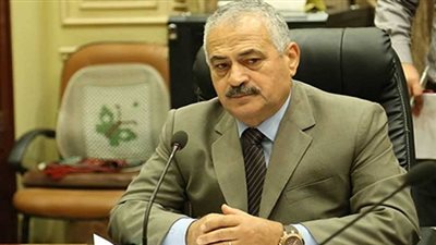برلماني: الانتهاء من قانون النقل النهري.. الأسبوع المقبل