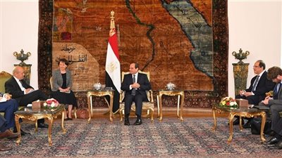 متحدث الرئاسة: الاتفاق على إقامة شراكة ثقافية بين مصر وفرنسا