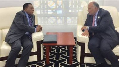 وزير الخارجية يبحث العلاقات الثنائية والقضايا الإقليمية مع نظيره التنزاني