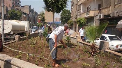 حملة لزراعة 1000 شجرة مثمرة بحى شمال الجيزة