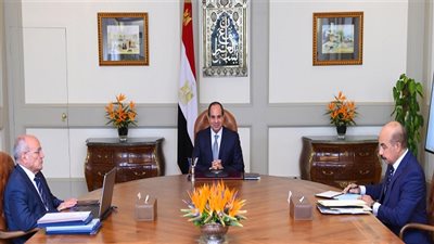 السيسي: أهمية الاستمرار في تطوير الشركات والمصانع التابعة لوزارة الإنتاج الحربي