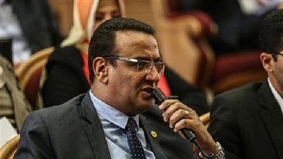 برلمانى: مصر لاتبيع جنسيتها ومنح الجنسية موجود فى القانون من فترة طويلة