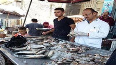 بالصورالطب البيطري.. حملات تفتيشية مكثفة على شوادر الاسماك ومحلات الجزارة بسنبلاوين دقهلية