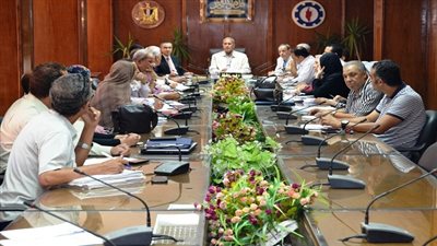 انتهاء أعمال لجان تقنين الاراضي بالسويس في 20 فبراير 2019 