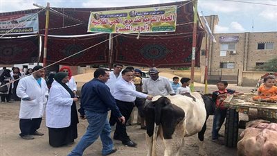 بالصور.. قوافل بيطرية مكثفة للعلاج والكشف المجاني بمراكز الدقهلية