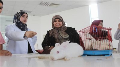 محاضرة لتشريح الحيوانات بمركز السويس الاستكشافى