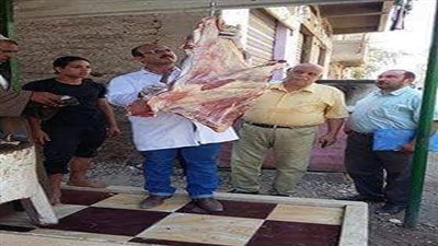 الطب البيطري.. حملات مكثفه وضبط كميات كبيرة من اللحوم المجمدة وغير صالحة للاستهلاك الادمي بالدقهلية