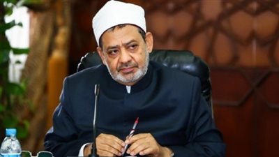 الإمام الأكبر لـ وزير المالية: وجود نظام مالي دقيق ومنضبط يحقق الشفافية