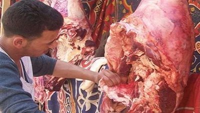 الزراعة: استيراد 55 ألف طن لحوم لطرحها قبل العيد