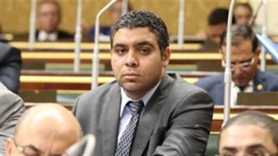 برلماني: المصحات النفسية غير المرخصة وباء لابد التخلص منه