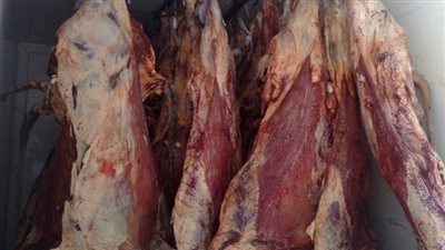 ضبط كميات كبيرة من اللحوم الفاسدة في حملة على مجازر القاهرة
