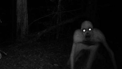 شاهد| خبير أبراج يتزوج 