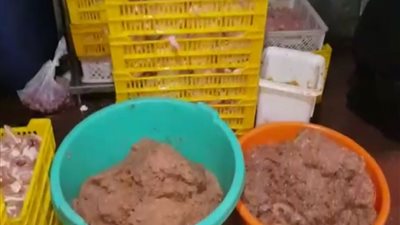 إحترس| ضبط 21 طن لحوم ودواجن غير صالحة بالمحافظات