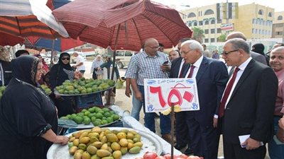 بالصور.. محافظ الدقهلية في جولة بنطاق حي شرق المنصورة 