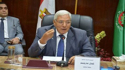 محافظ الدقهلية في جولة حرة بحي غرب المنصورة 