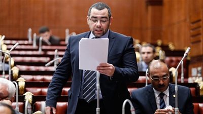 نائب الوفد: القوانين المقدمة مني لن تتأثر بتجميد عضويتي في الحزب