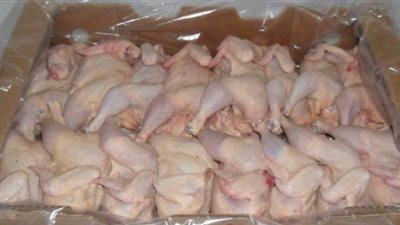 ضبط 2.5 طن دواجن فاسدة داخل مجزر بدون ترخيص في الإسكندرية