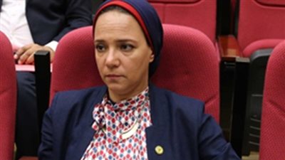 النائبة نانسي نصير: إغلاق مقر منظمة التحرير الفلسطينية في واشنطن له عواقب سياسية دولية 