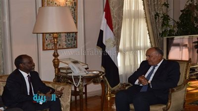 بالصور.. سامح شكري يستقبل مدير اتحاد وكالات أنباء الدول الإسلامية