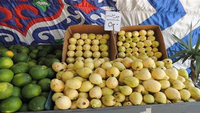 بالصور.. مدير امن السويس يفتتح معرضا لبيع الخضراوات والفاكهة وبأسعار مخفضة