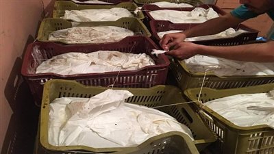 محافظ الدقهلية.. يقرر إغلاق مصنع حلويات بالمنزلة بعد ضبط 1800 كيلو ملبن فاسدة