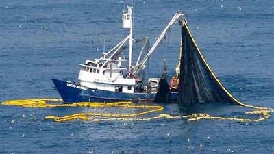 محافظ السويس يفتتح موسم الصيد وانطلاق اكثر من 500 مركب صيد فى عرض البحر