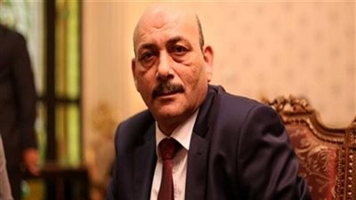 برلمانى: كلمة السيسى أكدت أحياء قيم السلام والتسامح التى نادى بها الزعيم نيلسون مانديلا