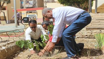 السويس الثانوية الصناعية بنات تتصدر المشهد بزراعة الاشجار المثمرة