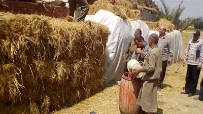 قطع اصابع يد فلاح اثناء كبس قش الارز بالدقهلية