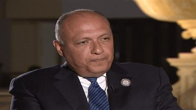 وزير الخارجية: زيارة السيسي لنيويورك تحمل شقا اقتصاديا مهما