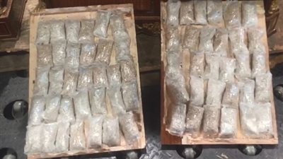 إحباط محاولة تهريب 88 ألف قرص مخدر إلى إحدى الدول العربية داخل أحد الطرود