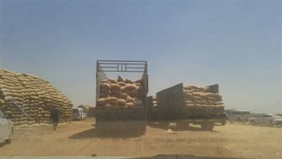 ضبط 11 قضية تموينية ضمت أكثر من 3 آلاف طن أقماح وأرز