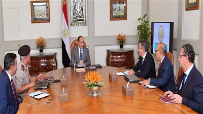 السيسي يلتقي بالرئيس التنفيذي لـ 