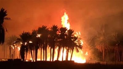 حريق هائل يلتهم 3 أفدنة ذرة في الإسماعيلية