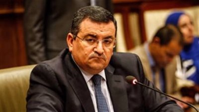 هيكل: مصر نجحت بشكل كبير فى مكافحة الإرهاب ولا توجد دولة فى العالم تستطيع القضاء عليه نهائيا 