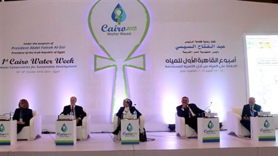 وزيرة البيئة: مصر تولى إهتمام كبير بقضية التغيرات المناخية