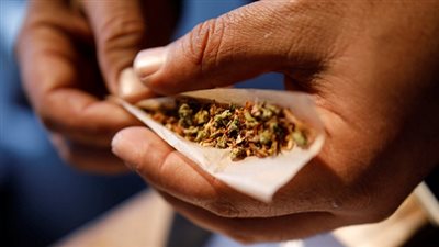 هنا الإجابة.. هل يعالج السرطان بالحشيش؟