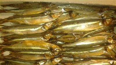 مصادرة طن رنجة غير صالحة للاستهلاك بالغربية