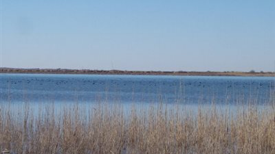 وحدات الحماية الكردية تسيطر علي بحيرة الخاتونية بسوريا