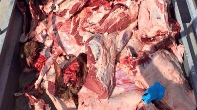 ضبط طن لحوم غير صالحة للاستخدام الآدمي بالجيزة