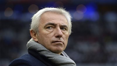 فان مارفيك: تدريب المنتخب السعودي تحد جديد لي