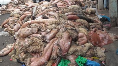 الاوقاف: استثمار عائد بيع 