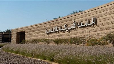 مؤشر البحث العلمى: 15 جامعة مصرية ضمن قائمة أفضل 100 جامعة عربية