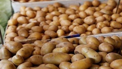 التموين: طرح البطاطس بـ 9.25 جنيهات للكيلو في المجمعات
