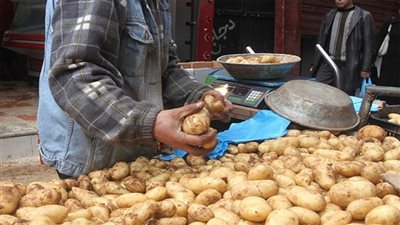 التموين تكشف سبب ارتفاع أسعار الطماطم والبطاطس (فيديو)