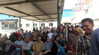 مرضى فيروس سي بالقليوبية 