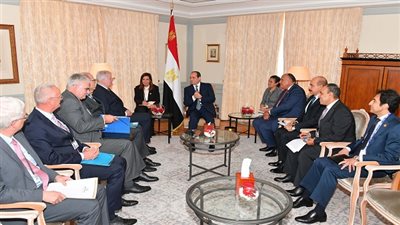 الرئيس السيسي يلتقى وزير الداخلية الألماني