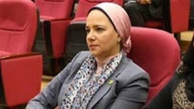 نائبة برلمانية: استياء عام من جانب النواب لتجاهل محافظ السويس الحضور للمجلس