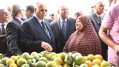 محافظ القاهرة يتفقد منافذ بيع الخضروات والفاكهة لمحاربة الغلاء بأحياء المطرية والسلام